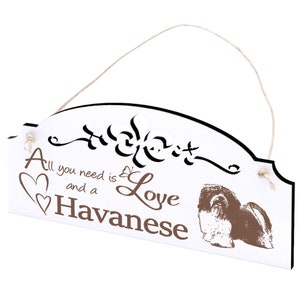Herzlich Willkommen Schild Mit Havaneser – Holz-Türschild Ca. 13x12 Cm, Personalisierbar, Mit Juteband