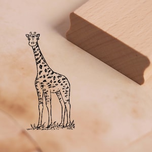Sello linda jirafa - sello con motivo de aproximadamente 24 x 48 mm - sello de madera para álbumes de recortes - regalo animal sello niños guardería escuela zoológico safari