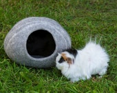 Felted cave for Guinea pigs, rats, rodent cuddle house, miniature hedgehogs, or other small pets