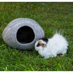 Felted cave for  Guinea pigs, rats, rodent cuddle house, miniature hedgehogs, or other small pets