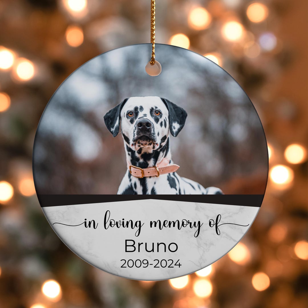 PERSONALIZED Pet Memorial Ornament, Pet Memorial Gifts, Sympathy Gift ...