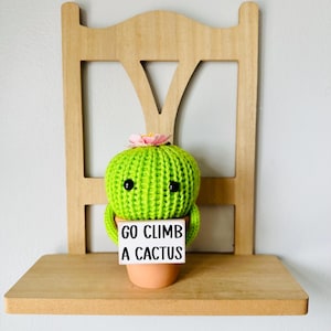 Cactus Buddy, Flowering Cactus, Pink Flower, Green Cactus, Cactus Plant, Cactus Decor, Gifts for her, Round cactus, tiered tray decor, Cacti