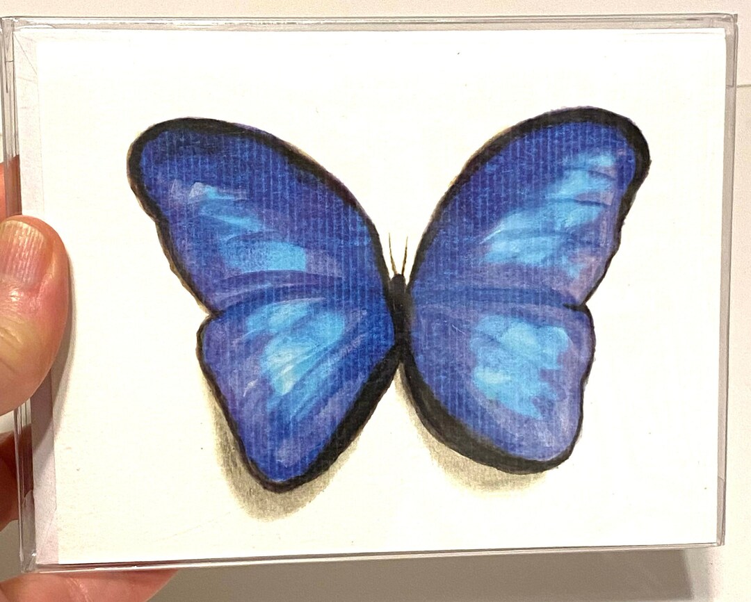 Blue Morpho, Pack of 5 Notecards - Etsy