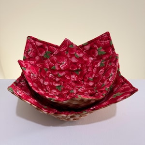 Microwaveable Bowl Holder - Red Raspberries