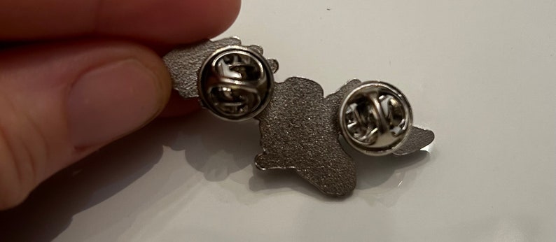 Puede incluir: Pin de metal plateado con un dise&ntilde;o detallado. La parte posterior del pin tiene dos cierres de metal.