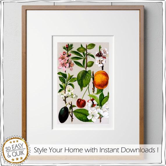 Fruchte Garten Frucht Kunst Zum Selbermachen Etsy