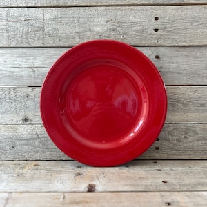 Waechtersbach Dinner Plate