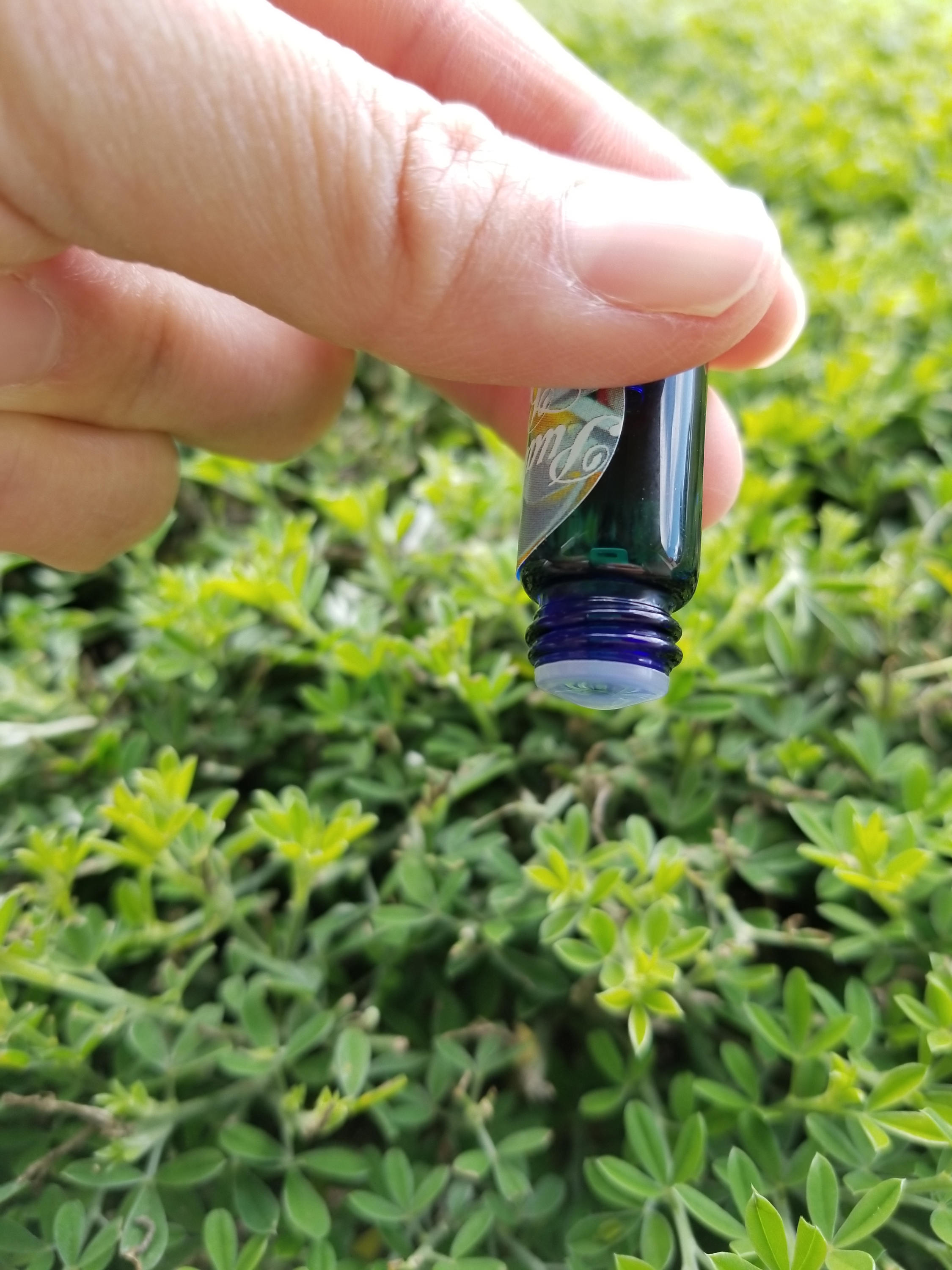 100 Pure Hawaiian Plumeria Essential Oil Hawaiian Natural Etsy