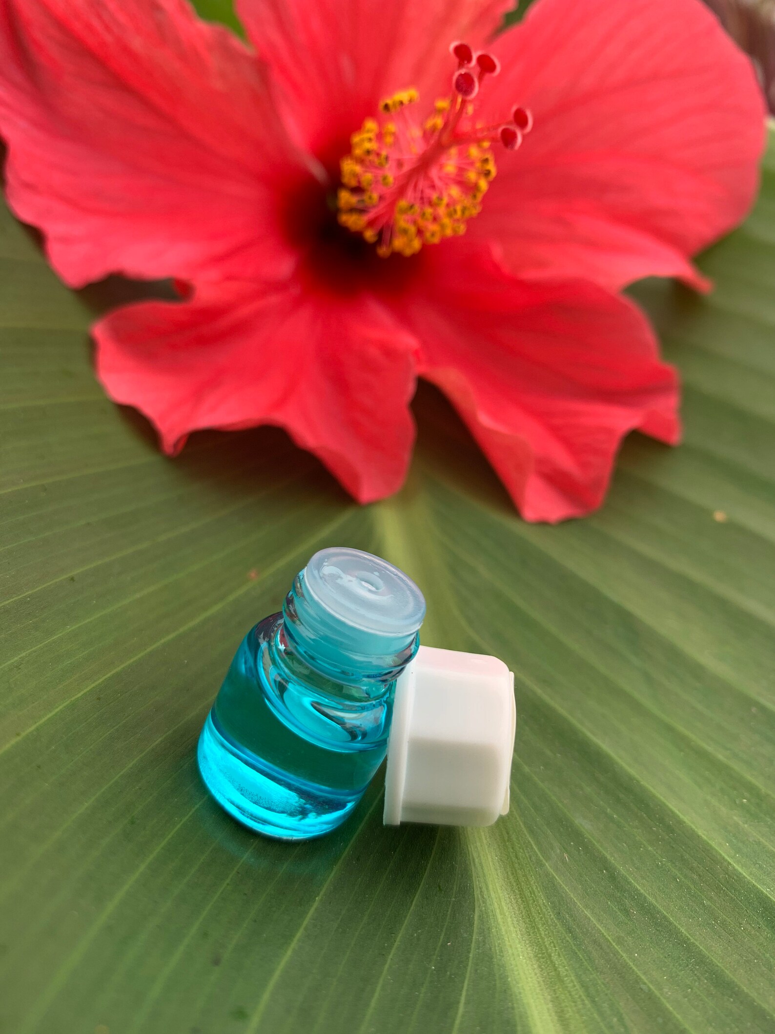 White Ginger Perfume Hawaiian White Ginger Essential Oil Natural