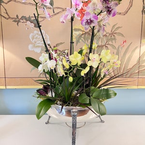 May include: A silver pedestal bowl with three legs, holding a variety of orchids in shades of pink, purple, white, and yellow. The orchids are arranged in a lush, green display.