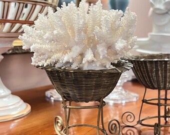 May include: A white coral-like decorative piece sits in a small, antique-style wire basket with a gold-colored metal stand. The stand has decorative scrollwork feet. The coral is the focal point, with other decorative items in the background.