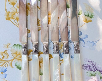 Antique Dinner Knife Set With Sterling Silver Floral Emboss