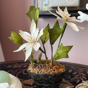 May include: A small, decorative floral arrangement featuring white flowers and green leaves. The flowers are in a woven black basket filled with brown moss. The arrangement is on a dark surface.