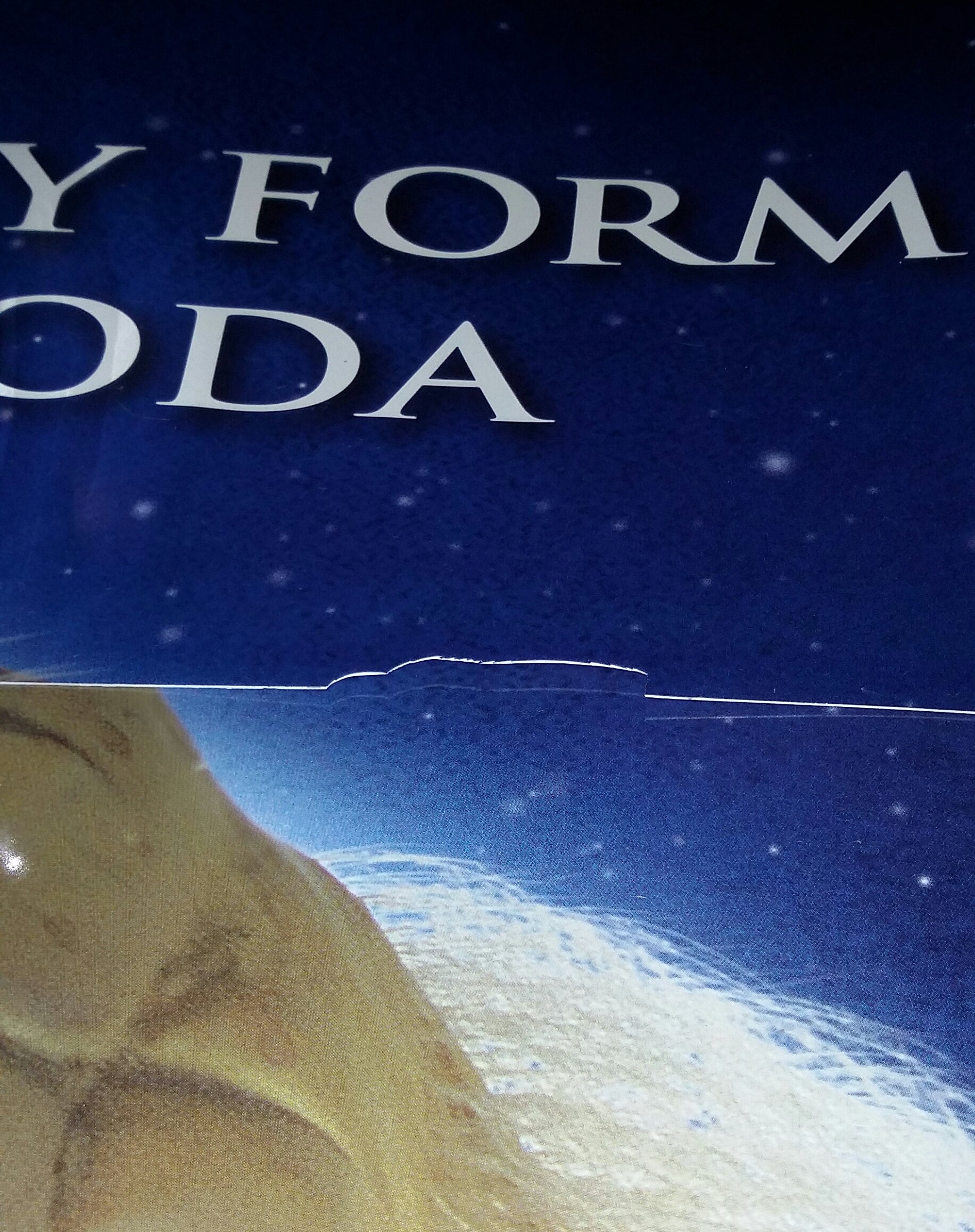 Vintage 1998 Blockbuster Star Wars Life Size Yoda Give Away Etsy