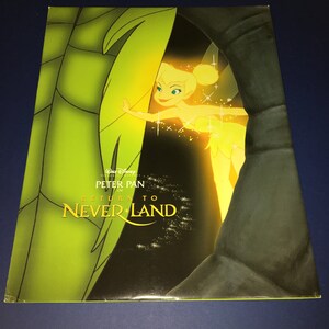 Disney Store Exclusive Peter Pan Return to Neverland Lithograph Print