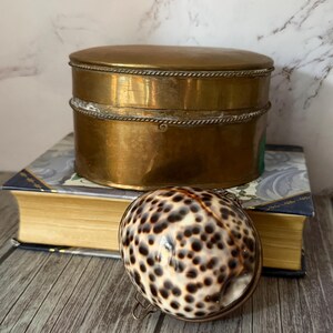 May include: A vintage brass box with a rope-like trim sits atop a stack of books. A decorative shell with brown spots rests in front. The objects are arranged on a wooden surface, suggesting a theme of antique decor.