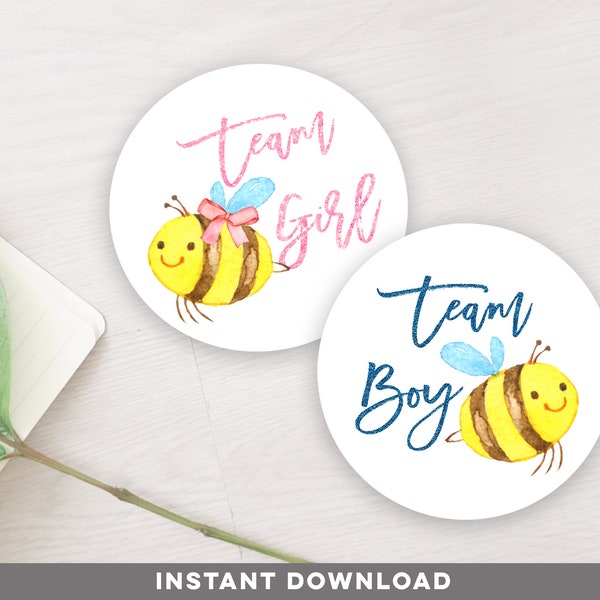 Team Boy Team Girl Voting Sticker, Bee Gender Reveal Party, Bee voting sticker, bee gender reveal party activity, bee cupcake topper, S22