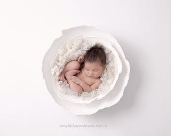 White Handmade Original bowl set with cream curly wool  Digital Newborn Backdrop, Newborn,