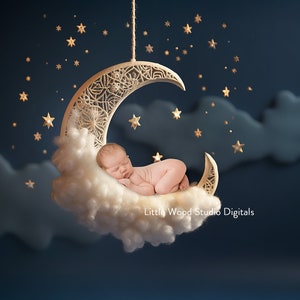 Special Price! Limited Time ! Newborn digital background, I Love you To the moon and stars and back Digital