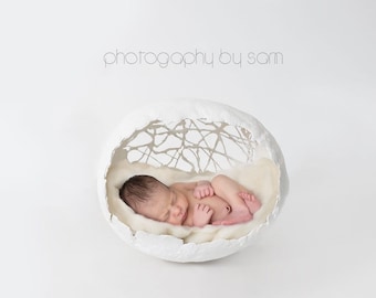 Easter White artistic newborn photography prop digital background white minimalist egg shaped nest