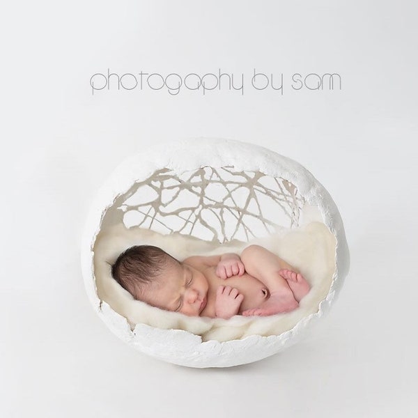 Easter White artistic newborn photography prop digital background white minimalist egg shaped nest