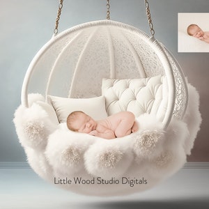 Special Price! Limited Time ! Newborn Digital Background Pink and White Hanging Swing, digital backdrop