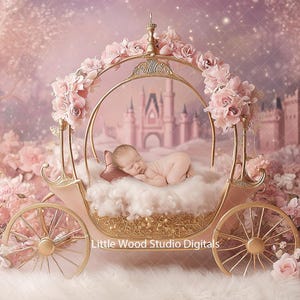May include: A pink and gold baby carriage with a white fluffy blanket and a sleeping baby inside. The carriage is decorated with pink flowers and is set against a backdrop of a pink castle and a sparkling sky.