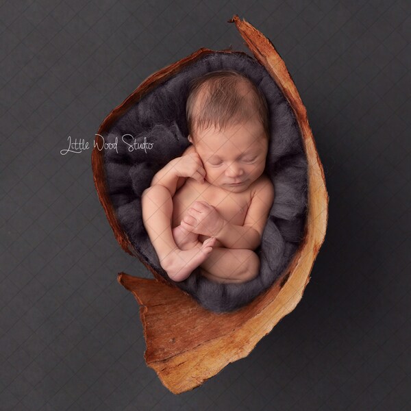 Newborn Digital Backdrop Handmade Original Curled  Bark bowl  "Organic Wood"