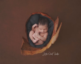 Newborn Digital Backdrop Handmade Original and unique  Bark bowl set with charcoal wool