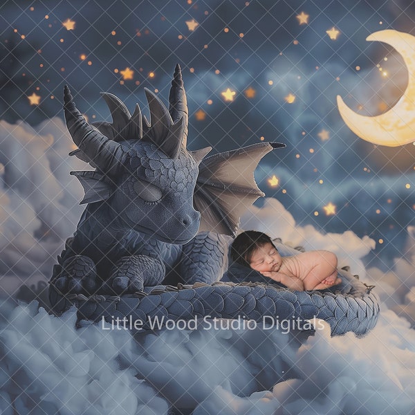 Year of the Dragon Newborn Digital Background