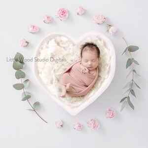 Neugeborenen Digital Backdrop Weiße Herzschale und rosa Rosen digitaler Hintergrund