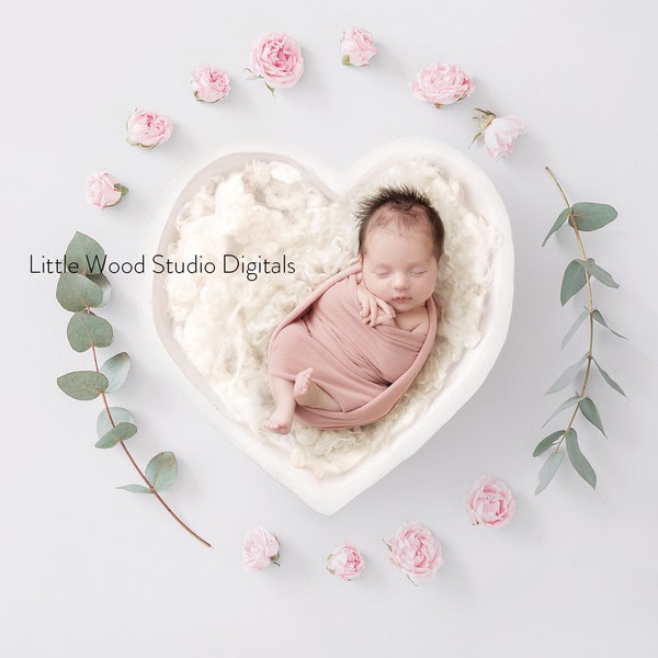 Newborn Digital Backdrop White Heart Bowl and pink roses digital background