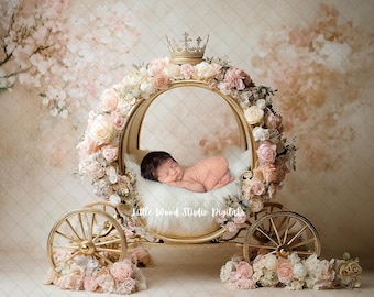 Pasgeboren fotografie rekwisieten, pasgeboren digitale achtergrond Painterly Princess Carriage, kinderwagen digitaal met kasteelachtergrond