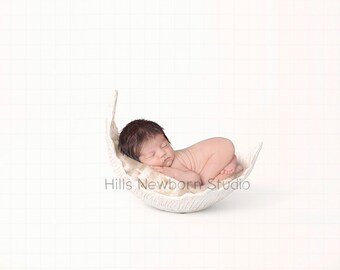 Newborn Digital Backdrop  Curved White leaf with cream curly layer