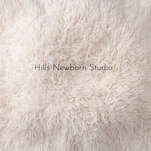 May include: A cream-colored, fluffy rug with a dense, curly texture. The words "Hills Newborn Studio" are printed in black across the center of the rug. The rug is likely used as a photography prop for newborn babies.