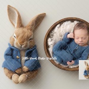Special Price! Limited Time ! Newborn digital background, Easter Bunny cute bunny, rabbit