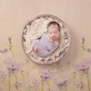 Newborn Digital Background Flower fields