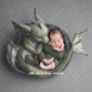 May include: A newborn baby sleeping peacefully in a green dragon-shaped nest. The baby is wrapped in a green swaddle and has a soft, peaceful expression.