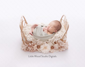 Boho Newborn Digital Backdrop, Back lit Cradle with Dahlia and Hydrangeas