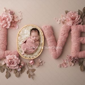 以下が含まれることがあります： ピンクの毛糸の文字で「LOVE」と綴られた文字とピンクの花々に囲まれたバスケットの中で、生まれたばかりの女の子が眠っています。