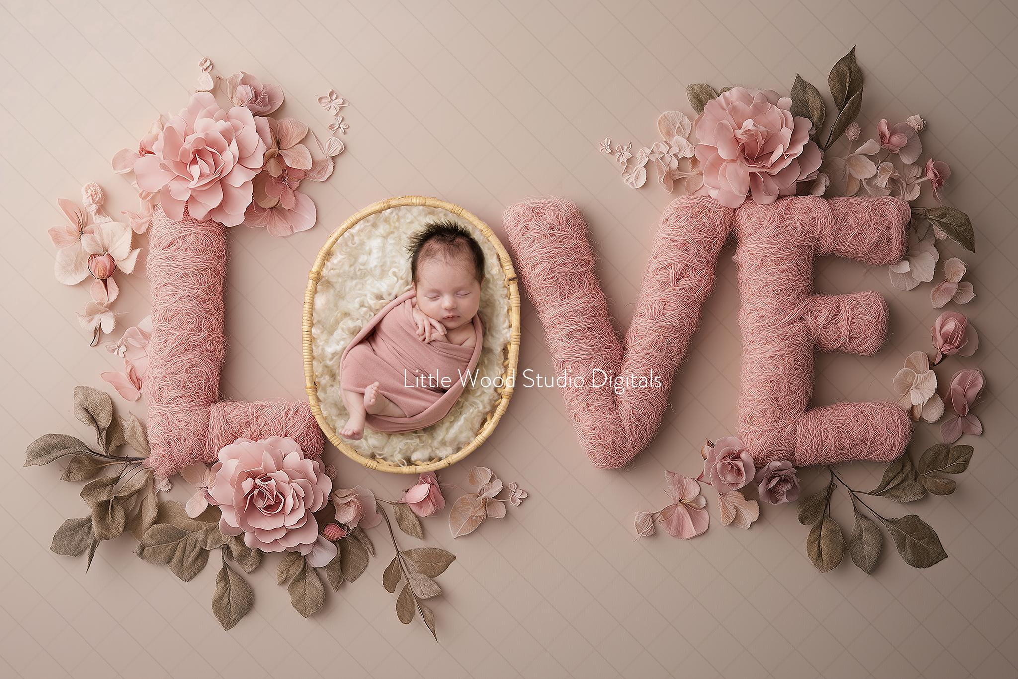 Special Price! Limited Time ! Newborn digital background, LOVE- Pastel Pink