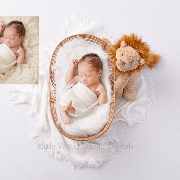 Heirloom Series White Newborn Digital Backdrop, Rattan basket with Lion