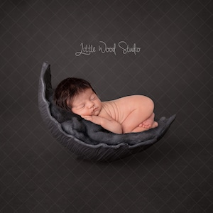 Newborn Digital Backdrop  Curved grey newborn prop digital background