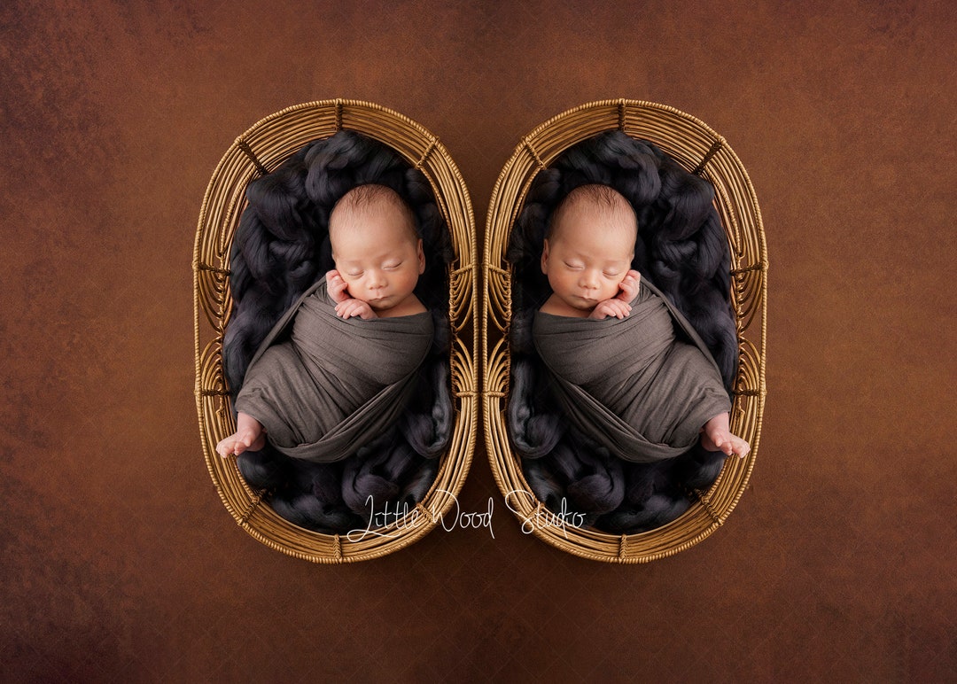 Art Series Twins Cradle Newborn Digital Background Etsy