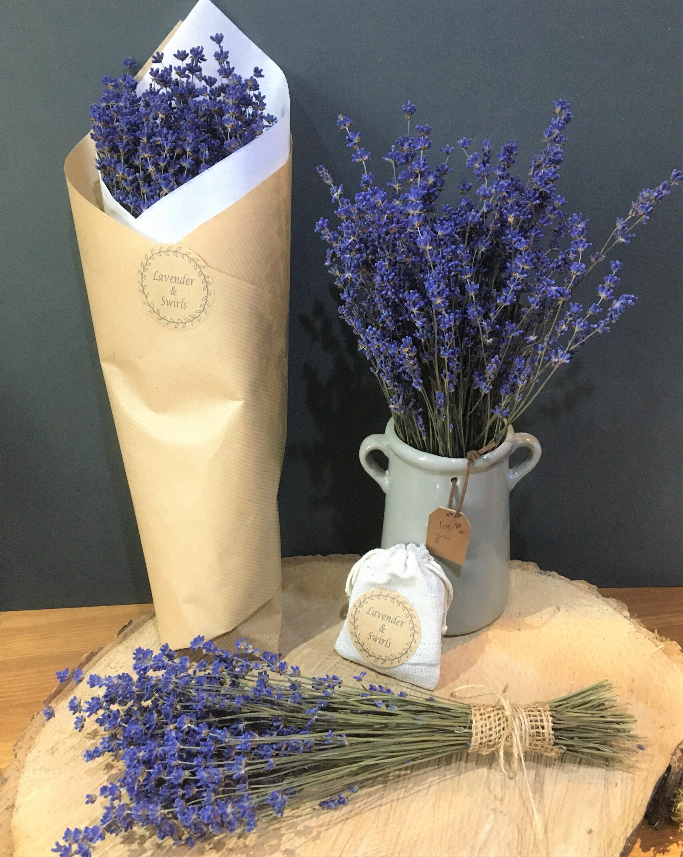 Live Lavender Plants - Gros Bleu variety, Illinois