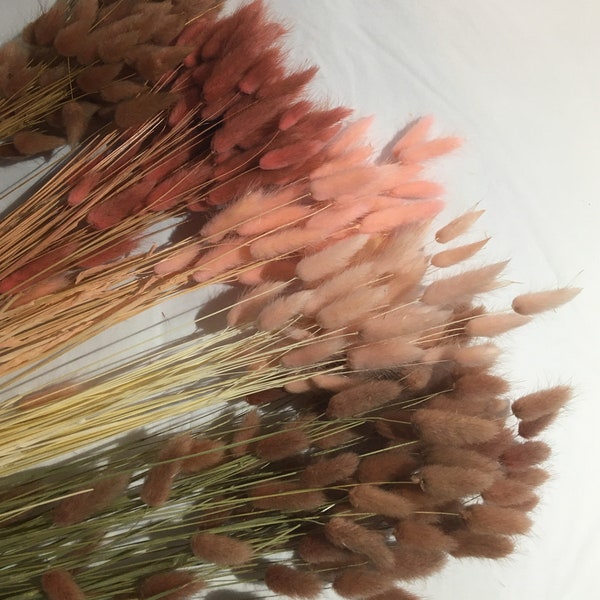 Build a bunch of tall bunny tail grasses - pick your own dried bunny grasses create your own theme