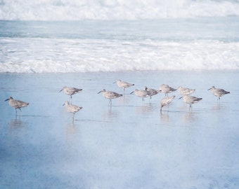 Nautical wall art bird photography prints sandpipers pictures coastal wall decor beach decor ocean decor sandpiper bathroom art coastal art