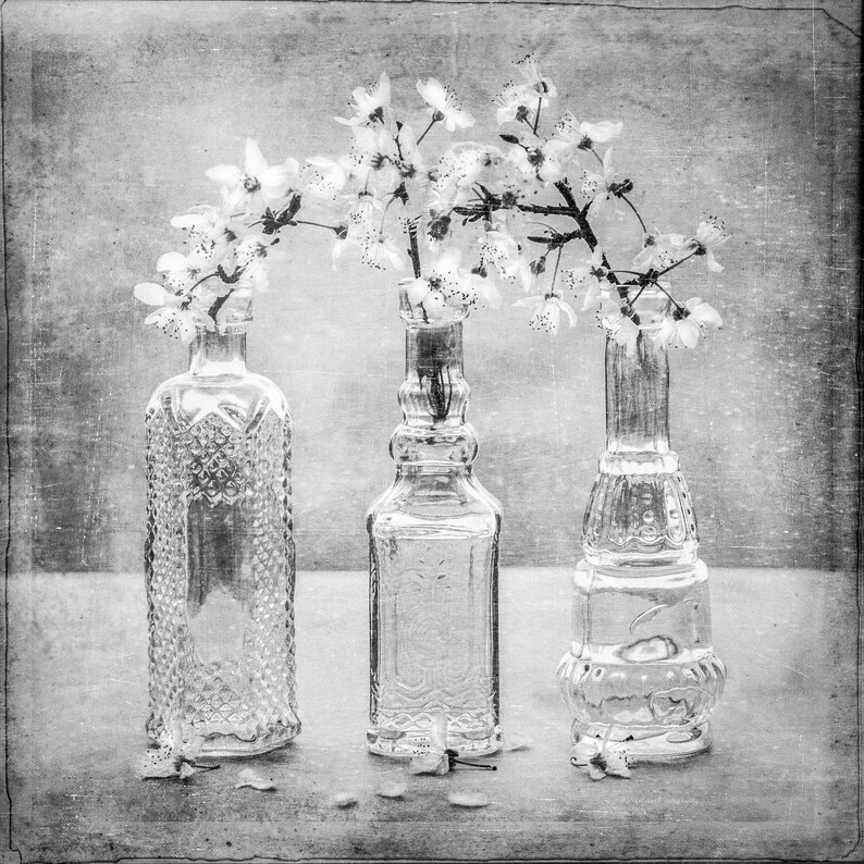 Bathroom Wall Art Bathroom Home Decor Wall Print Home Etsy