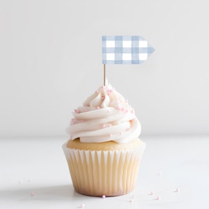 May include: A white cupcake with pink sprinkles topped with a blue and white gingham flag.