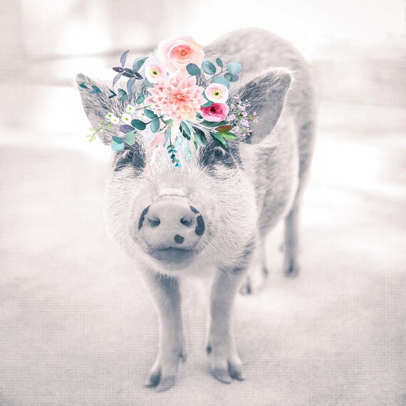 Print Pig Photography Pig Print Farmhouse Decor Home Decor Etsy